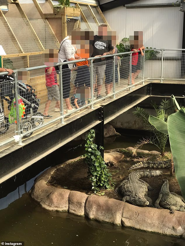 Boy, 3, in Crocodile Enclosure at UK Zoo; Man Held for Attempted Murder