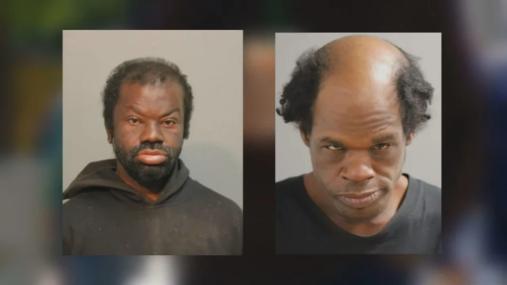 Chicago Lakeview Residents Fight to Keep 2 Attackers Off Streets