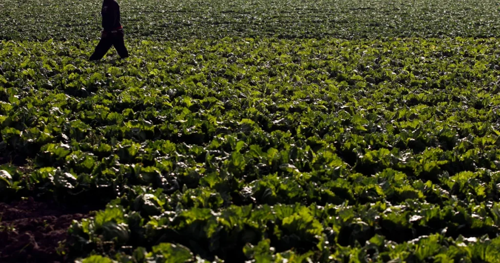 Farm connected to cyclosporaisis outbreak went years with out FDA inspection