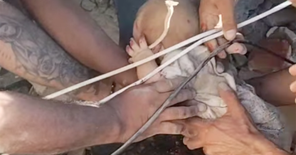 Child saved from rubble in Colombia after devastating earthquake