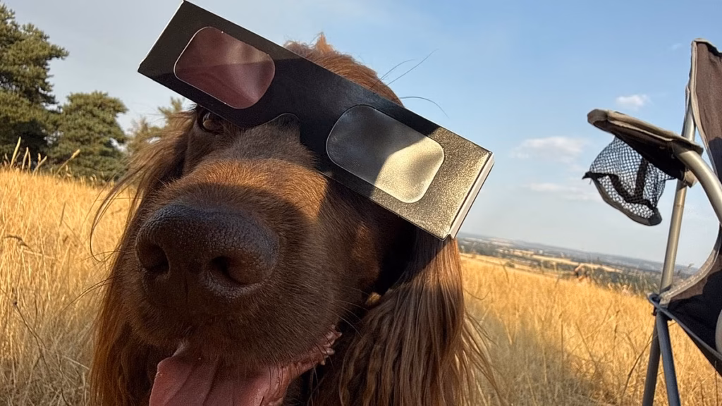 The eclipse snapped by YOU: Day by day Email audience' photographs are disclosed