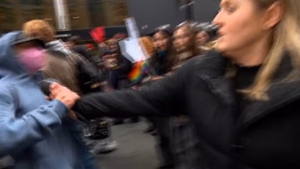 Protester steals correspondent's microphone throughout anti-Pauline Hanson protest – earlier than she chases them right down to collect it support