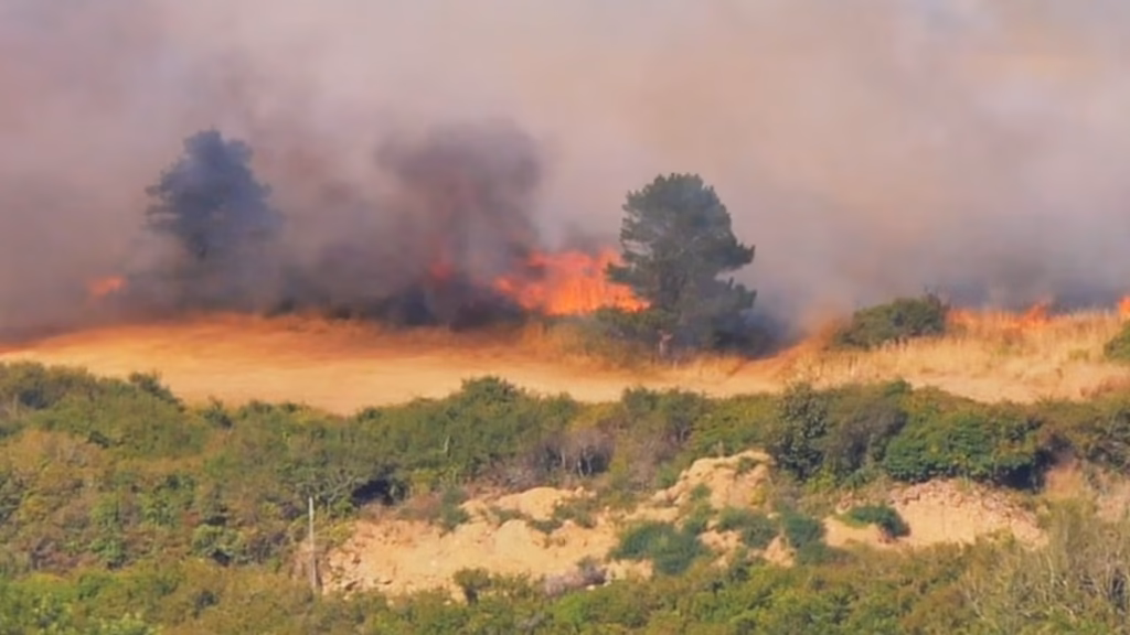 'Terrifying' wildfire threatens golf membership in Hollywood's favorite Cornish village as blazes rage throughout drought-hit Britain