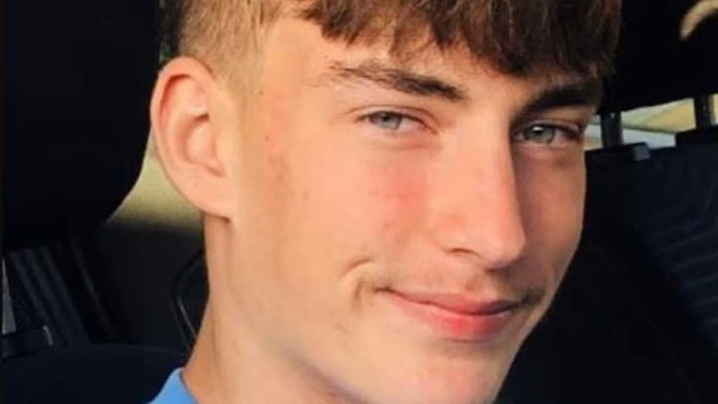 Boy, 17, acted 'devastatingly out of character' as he stepped out in entrance of prepare hours after 'fortunately' sipping pints with associates, coroner hears
