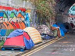 Deliveroo bridge camp: drug use and street urination alarm locals
