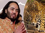 Billionaire’s son builds sanctuary for 150,000 rescued animals