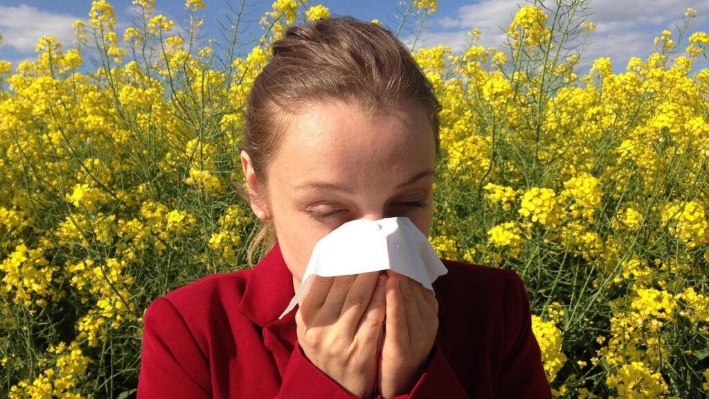 More than 6m Australians warned of severe spring hay fever
