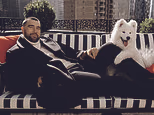 Taylor Swift’s new dog stars in Travis Kelce’s Hilfiger campaign