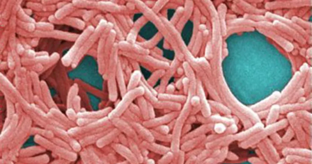 New York launches Legionnaires’ plan after 11 deaths