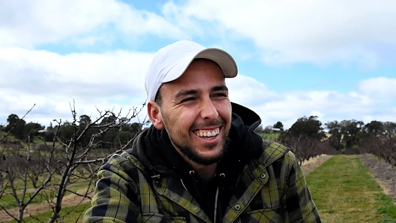 The appeal of a small NSW town to Lebanese cherry growers
