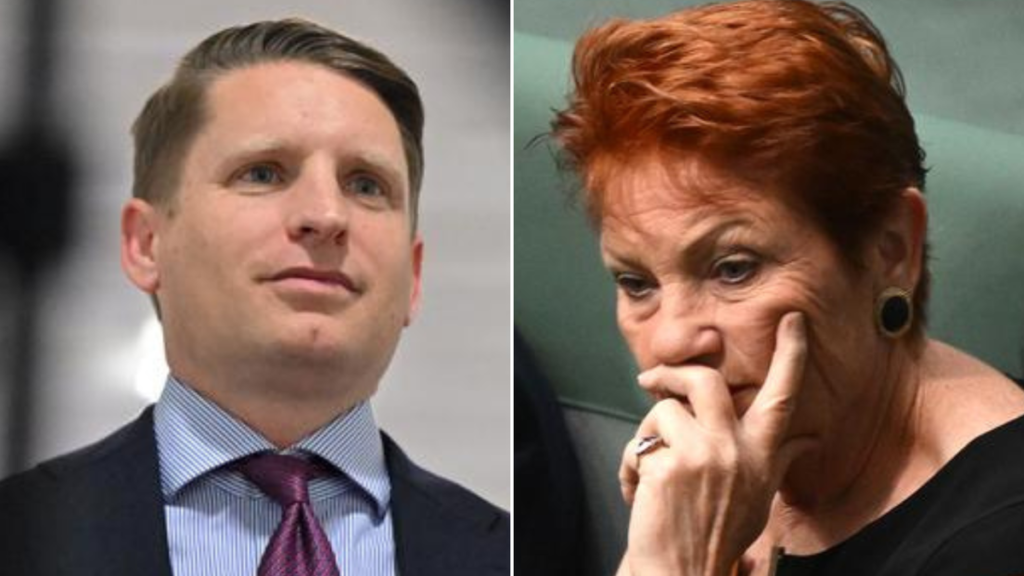 Andrew Hastie attacks Pauline Hanson over cartoon video