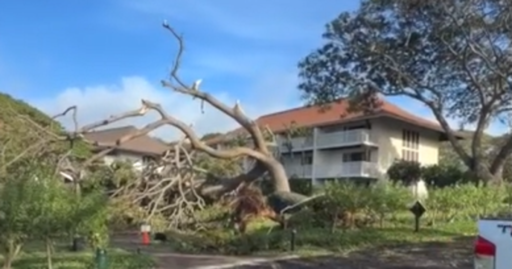 Visitors urged to avoid Hawaiian island after Hurricane Lowell