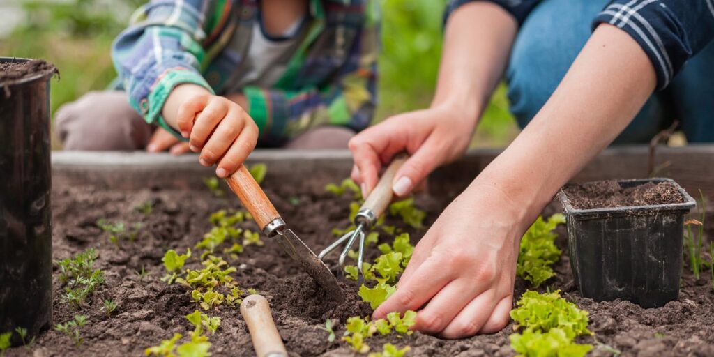 Gardening therapy boosts wellbeing in adults with chronic illness