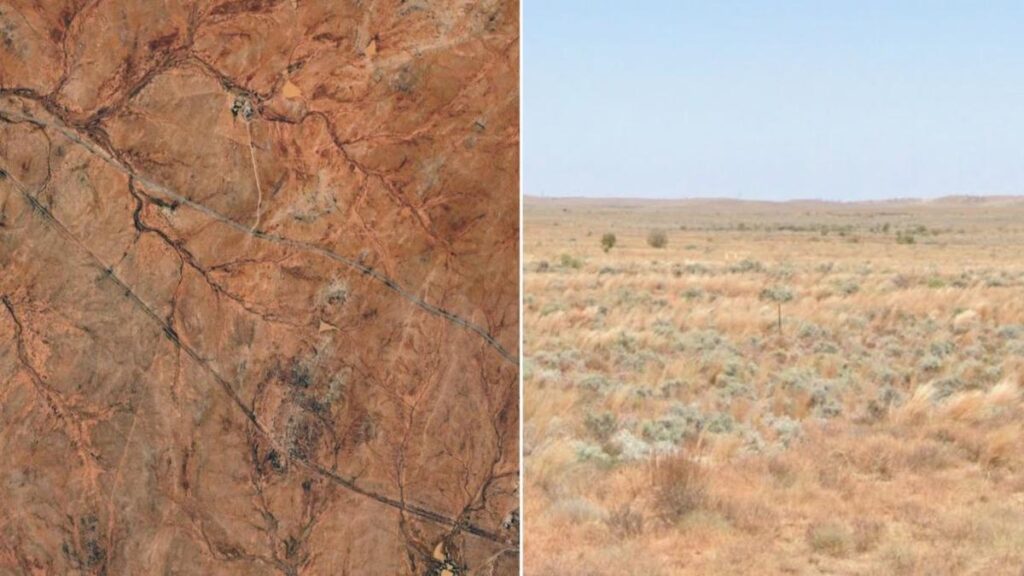 Pilot dies in helicopter crash at South Australian station