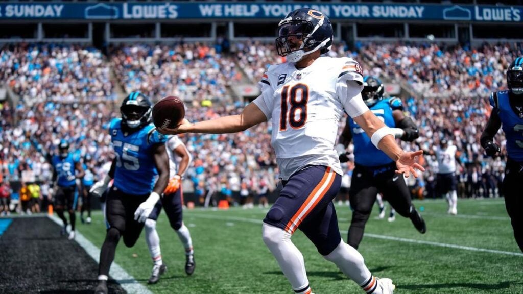 Bears thrash Panthers as Lions and Bills also triumph