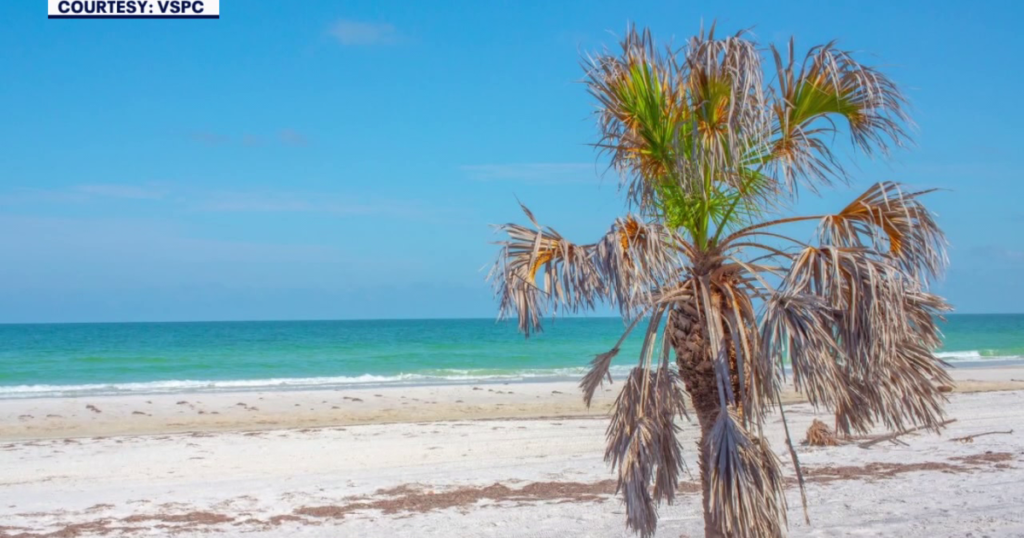 42-acre land deal could expand Caladesi Island park