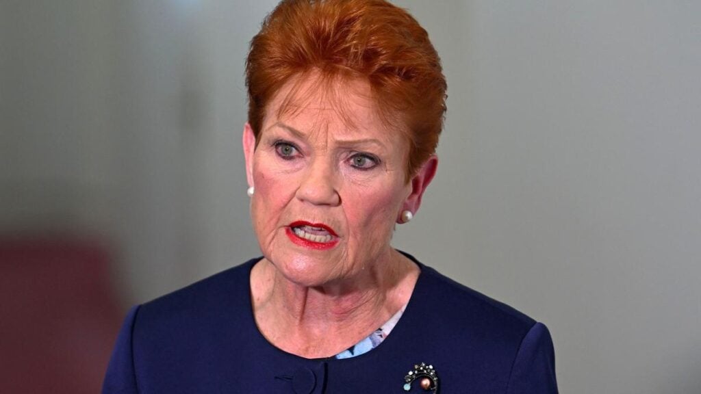 Hanson partly apologises to Indigenous Australians over remarks