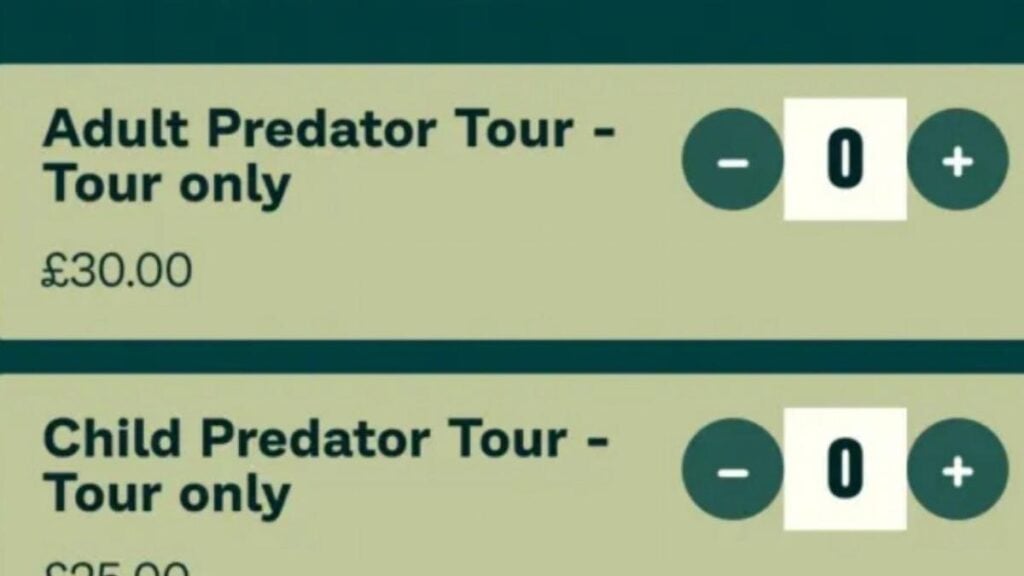 Software glitch made zoo advertise tour for child predators