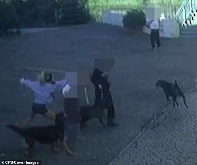 Woman punches fellow dog walker in face, then laughs and spits