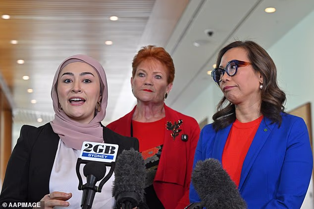 Hanson allies with Payman against Albanese despite past insult