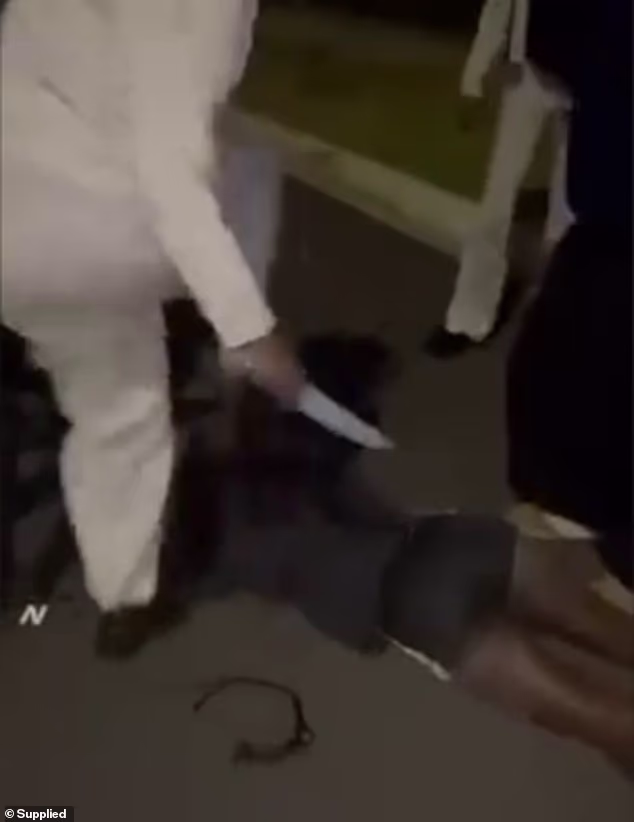 Girl, 18, stomped on and stabbed six times by up to 10 youths