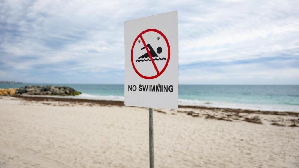 Hunt for missing swimmer follows deadly shark attack