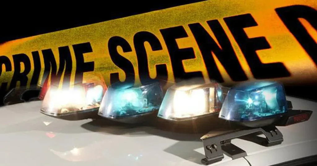 Man killed in Brooklyn apartment block as person of interest held