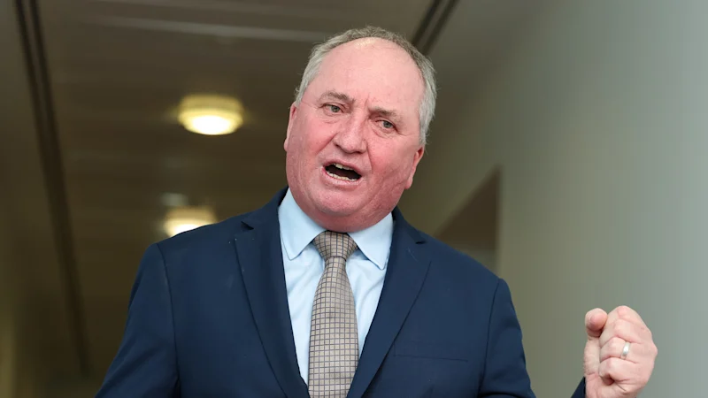 Joyce: One Nation-Liberal supply talks; US attacks Albanese reforms