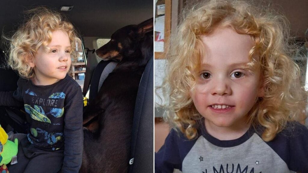 Dozens of leads follow $1m reward in Gus Lamont case