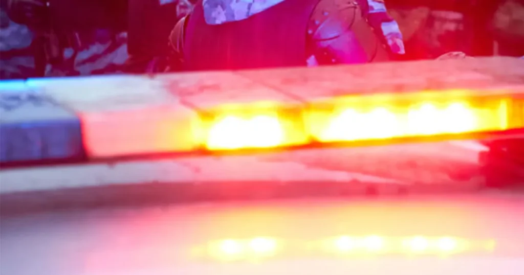 West Hardy search warrant leads to arrests and drugs seized