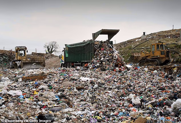 Expert settles whether cans and bottles need rinsing