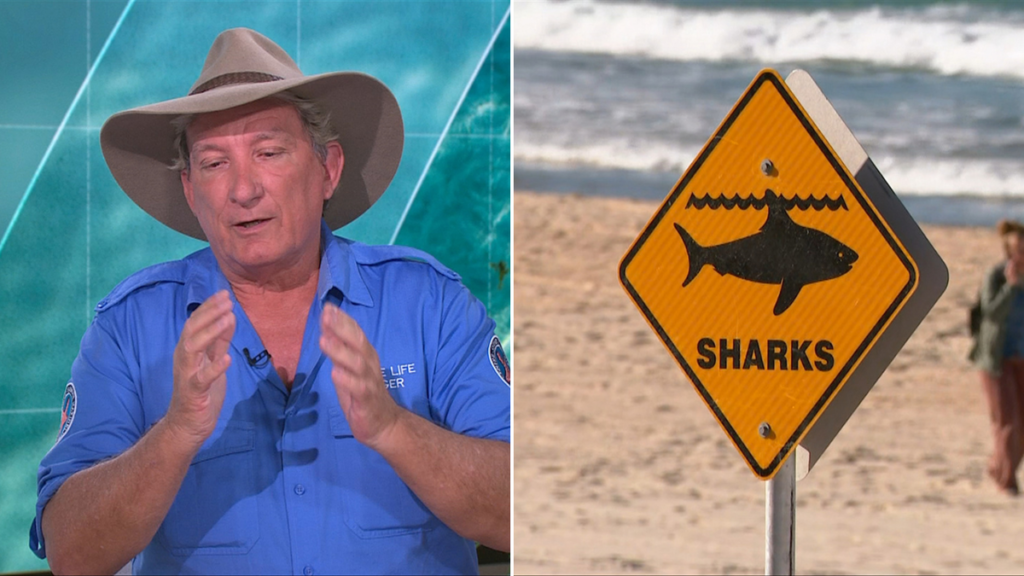 Beachgoers warned as drones spot hundreds of sharks this summer