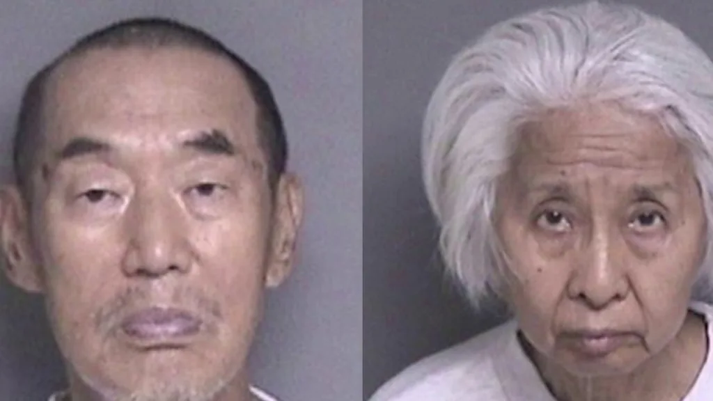 Elderly couple both shot son-in-law in turns