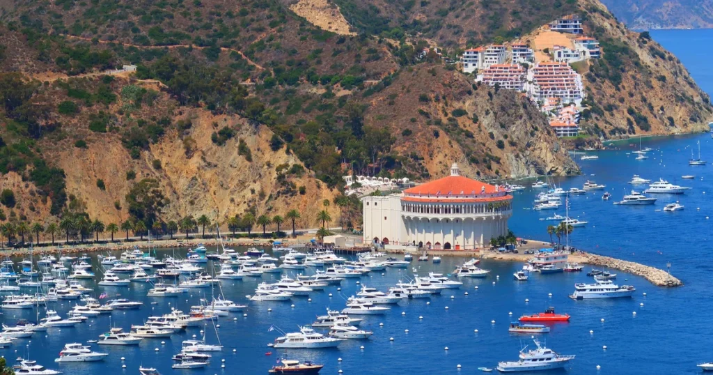 Rescue launched after helicopter crashes near Catalina Island