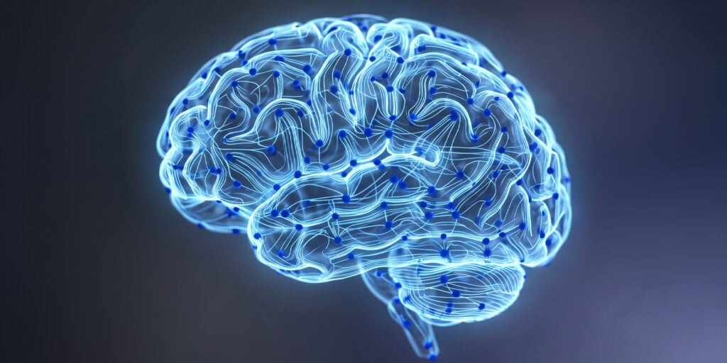 Brain scans reveal stronger reward circuits in autistic people