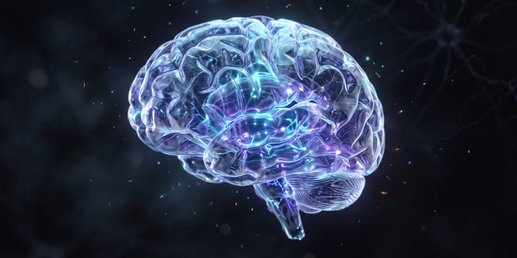 Group-inequality supporters show less grey matter in empathy area