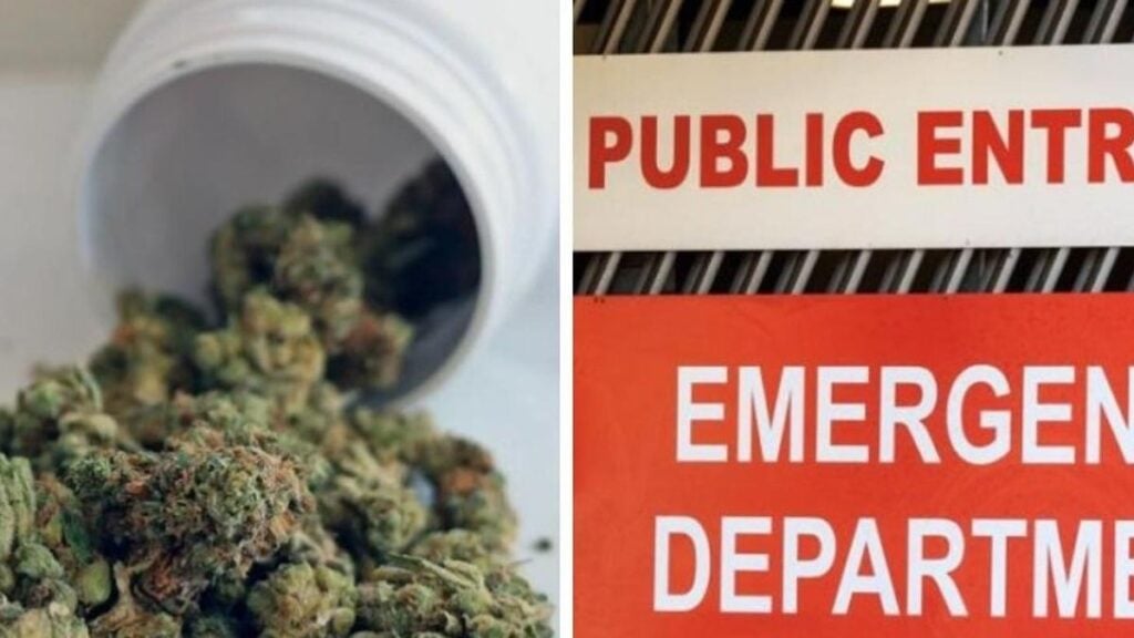 Victoria sees 49% rise in hospital visits for cannabis psychosis