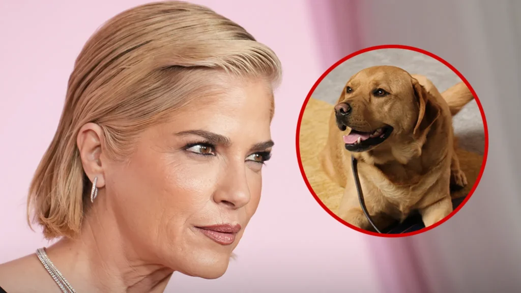 Selma Blair’s assistance dog unharmed after plane incident