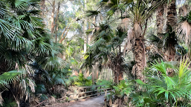 Several women allegedly targeted on Northern Beaches trails