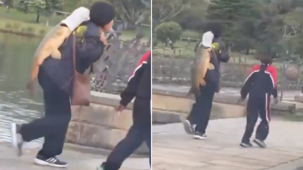 Government reacts after woman lands huge fish at Centennial Park
