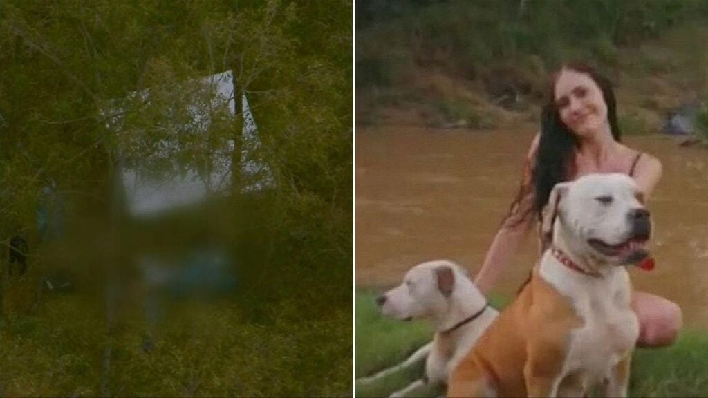 Identity confirmed after body found near Chermside dog attack
