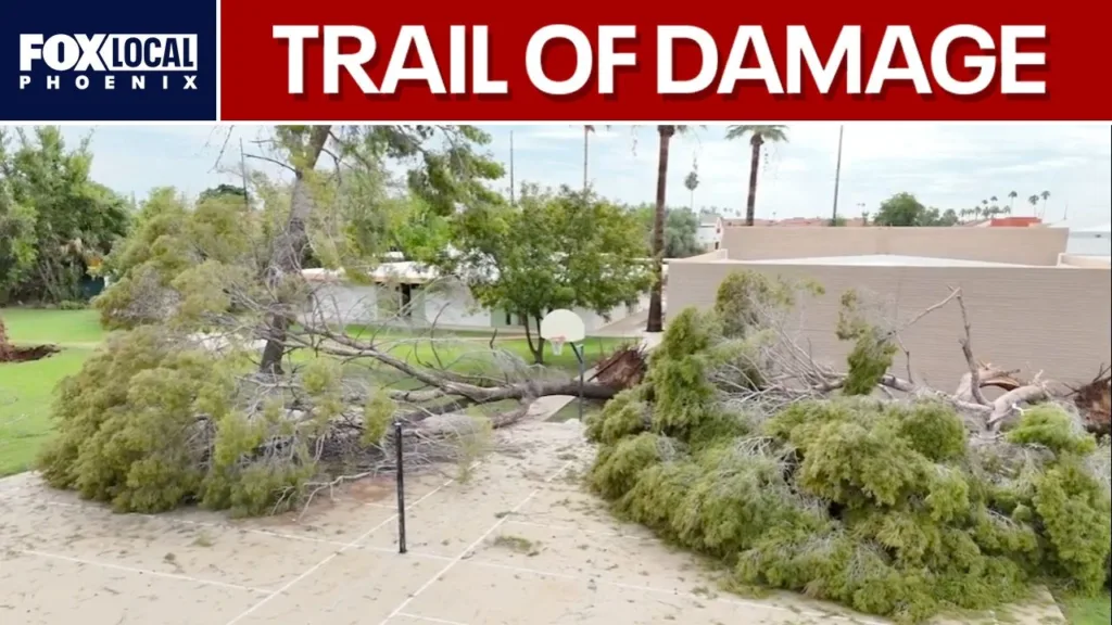 Clear-up begins in Mesa following tornado-like storm