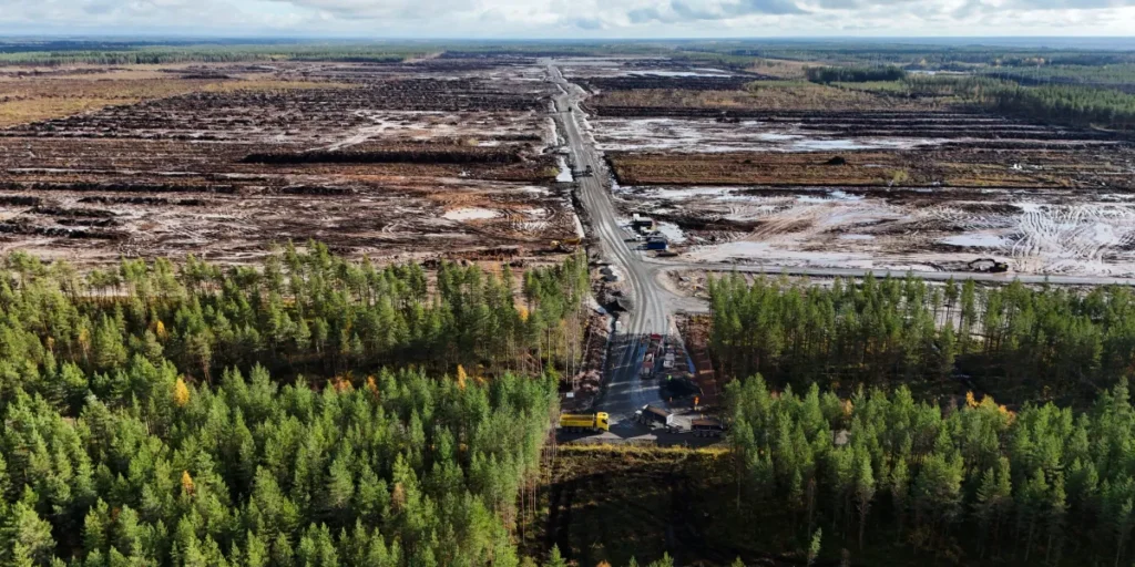 Google told to halt Finnish data centre work over 250,000 trees