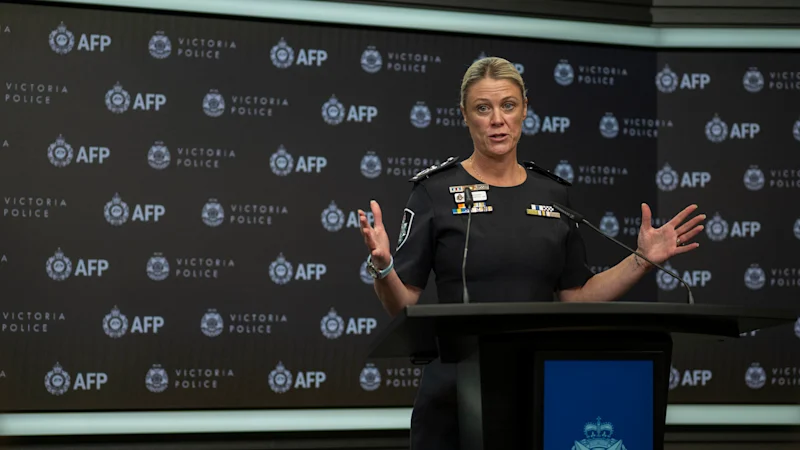 Police chief sets out extent of threats facing MPs