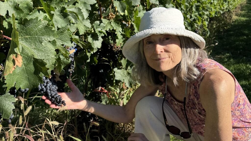 Okanagan grapples with a difficult dilemma