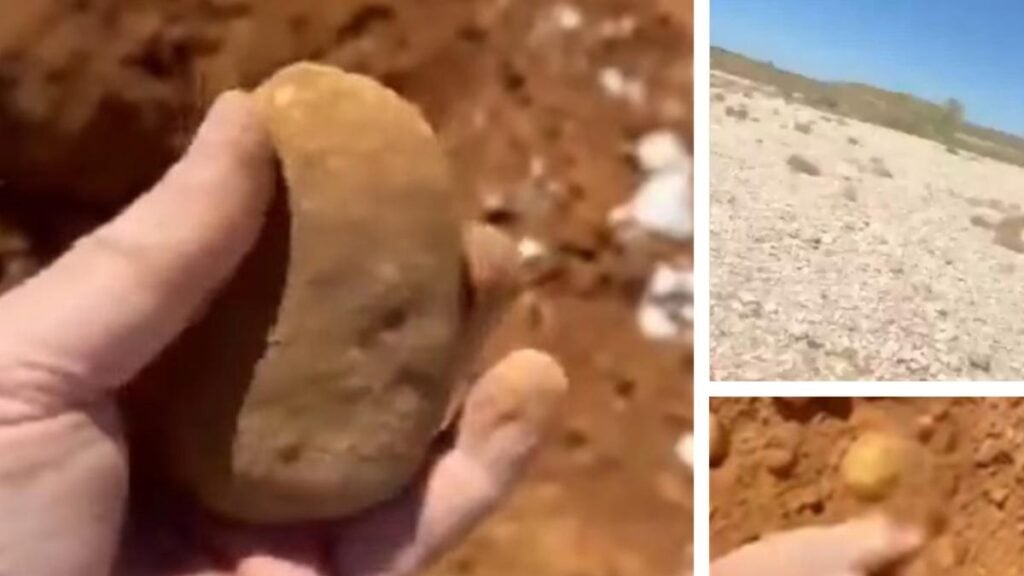 Amateur prospector finds 1.2kg nugget worth up to $200k in NSW