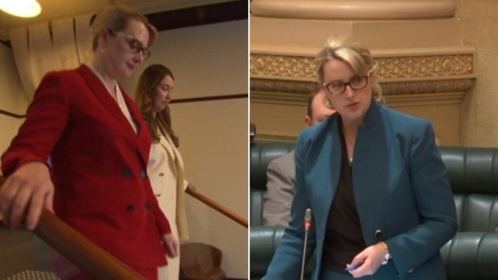 Two Adelaide MPs claim one man stalked them