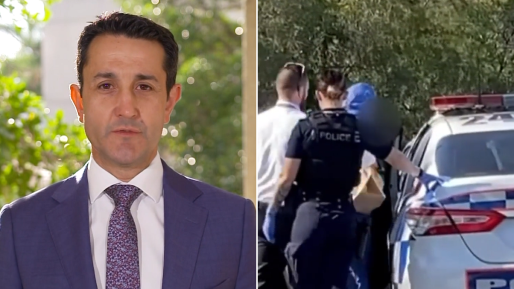Crisafulli bluntly defends controversial bail laws