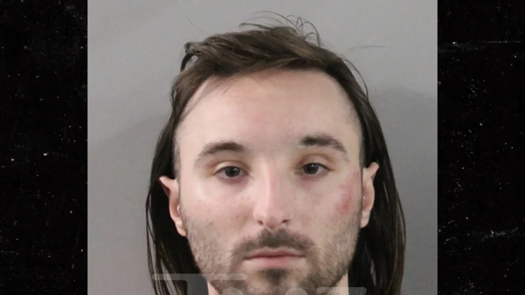 Ex-Disney Mickey impersonator among 300 arrested in predator sting